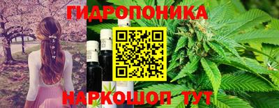 apvp Вышний Волочёк