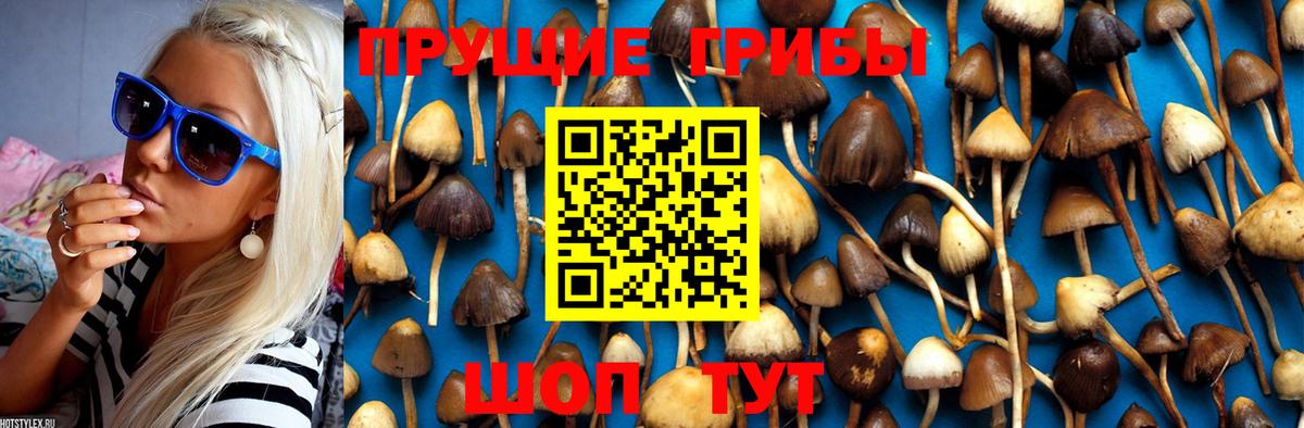 Галлюциногенные грибы Magic Shrooms  Галлюциногенные грибы Psilocybe  купить   Изобильный  Вход с VPN 